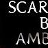 Scary True Stories Told By The Ambient Fire Campfire Video Scary Stories