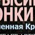 Павел Дартс Крысиные гонки Анонс АУДИО