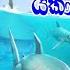 Hangry Shark World Game Play Sinhala