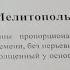 Мелитопольские голуби Не всё из того что написано верно