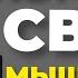 Вы можете полностью изменить свое мышление и свою жизнь и это научно доказано Дэниел Амен