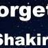 Can T Remember To Forget You Ft Rihanna Shakira Karaoke With Guide Melody Instrumental