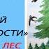 Как нарисовать рисунок плакат на тему Пожарной безопасности Берегите лес Бережіть ліс