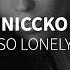 NICCKO So Lonely