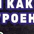 Что такое семья и как она устроена Отрывок из интервью 4 09 2024