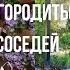 Как отгородиться от соседей Идеи для сада и дачи