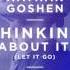 Nathan Goshen Thinking About It Let It Go KVR Remix Cover Art