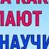 ТЫ САМ СОГЛАСИЛСЯ ИЛИ ОНА ТЕБЯ ЗАСТАВИЛА Любовные Истории Аудио Рассказ