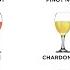 Every Wine Explained In 10 Minutes Part 1