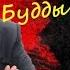 Спокойствие Будды нейропсихология счастья любви и мудрости