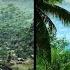 Crysis Remastered Vs Original Direct Comparison