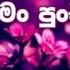 ම ප ච ව ළ න ද Man Punchi Welenda Dj Remix Song Sithalaga Music