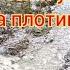 На субботнике почистил вокруг ключей и убрали мусор на плотине Музыка и слова Истов белой птицей