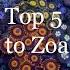 Top 5 Tips To ZOA Growth Color And Size In My Nano Reef Tank Zoa Garden The Secret To Zoanthids