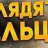 Действительно ли жизнь на другой планете развивалась бы иначе