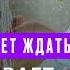 Алиса не может ждать Что скрывает комната Алисы