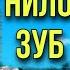 Света и проклятая кукла вызвали ДУХ зубной феи Страшилки из тик тока