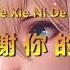 Xie Xie Ni De Ai 謝謝你的愛 Karaoke Male