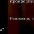 Нежность на бумаге Песенка прокрастинатора English Subtitles Russian Lyrics Transliteration