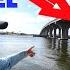 This Bridge Is Loaded POMPANO Fishing Tampa Florida