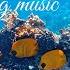 Underwater Wonders Relaxing Music