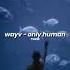 Wayv Only Human Slowed Down