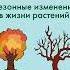 Растительные сообщества Видовой состав растительных сообществ