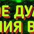 МОЩНУЮ ДУА СЛУШАЙ СЕГОДНЯ ДЛЯ ПРОЩЕНИЯ СОТРИТЕ ВСЕ ГРЕХИ ПРЯМО СЕЙЧАС СИЛЬНАЯ ДУА О ПРОЩЕНИЕ