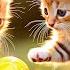 Cute Baby Animals 4K A Colorful Day Of Adorable Baby Animals Playing With Relaxing Piano Music