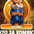 А вы играете Хомяки это СКАМ хомяк хамстер Hamster игры техноблог