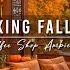 Cozy Fall Coffee Shop Ambience With Jazz Relaxing Music Smooth Jazz Music Falling Leaves To Work