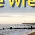 Sea Fishing Gorleston Norfolk The Wreck