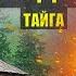 КАК КАЗАКИ от КИТАЙЦЕВ ТИКАЛИ ПОПАДАНЦЫ 3 ФАНТАСТИКА ЖИЗНЬ ДОМ в ЛЕСУ ИСТОРИИ из ЖИЗНИ СЕРИАЛ 3