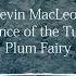 Kevin MacLeod Dance Of The Tuba Plum Fairy Music