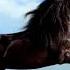 Horse Running Sound Effect Free Sound Effects Audio Vampire