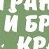 Гранатовый браслет краткое содержание за 3 минуты Куприн