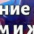 Урок для женщин Особенности уважения между мужем и женой Оэль Рахель Эстер Офенгенден