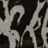 Rotting Christ Intro Logos Aima Noima Live 2007