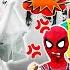 KID SPIDER MAN Bride Spider Destroy JOKER Spider Man Into The Spider Verse 2024 251