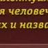 История человечества Передача 11 Дмитрий Менделеев Биография