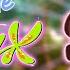 Winx Club Under The Sign Of The Winx Season 2 Multilanguage