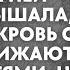 Она уборщица сын ее пожалел женившись на ней невестка услышала как муж и свекровь смеются