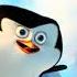 Best Cute Scene Penguins Of Madagascar