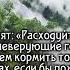 Сура Ясин грустное чтение Корана Сура Ясин помогает решить проблемы