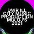 FERNANDO DJ WAWE REMIX DWR ILL CITY MUSIC PRODUCTION DJ S DWR 2021