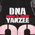 DNA Yanzee Siempre En On