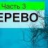 Дерево в миллион лет или истинная скорость эволюции