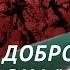 Более 130 добровольцев из батальона Алга до сих пор числятся пропавшими без вести война