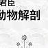 象膽在哪裡 巴多明與清朝君臣談動物解剖 長毛象的故事 張哲嘉 王道還 科學史沙龍