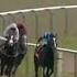 Racehorse Shows Incredible Burst Of Speed